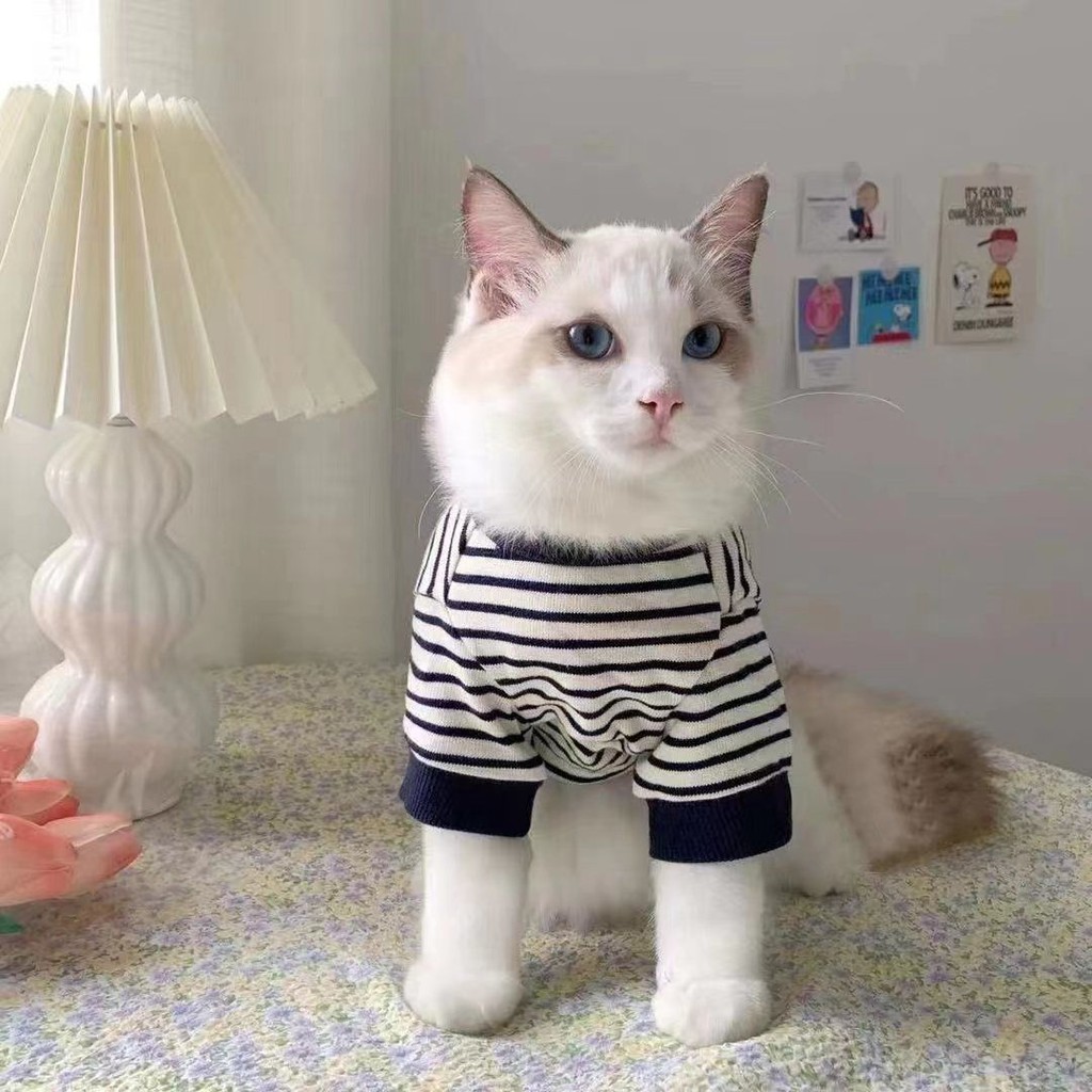 【Ready Stock】 Summer Pet Dog Cat Clothes Four Seasons Fashion Brand Handsome Small Milk Blocks British Shorthair Muppet Cat Two-Leg Sweater ppJa