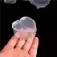 SSVN 10 Cái / lốc Nhựa Màu Nhựa Trong Suốt Hộp Đựng Keo Putty Bọt Bóng Hộp Bảo Quản Slime Bảo Quản.