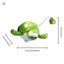Đồ chơi tắm Wind Up Turtle Bể bơi xanh Đồ chơi tắm cho bé