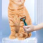 Dematting Deshedding Brush cho mèo Chó Tay cầm tiện dụng Dụng cụ chải lông Đồ dùng cho thú cưng