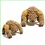 PS1 Project Hail Mary Rocky Plushie Game Merch Alien Spider Plushie Doll SP1