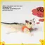 4 Thú Cưng Nhỏ Dây Đeo Ngực Hamster Sóc Dây Xích Chống Cắn Lực Kéo Dây Đường Glider Chống Gió Đặc Biệt Chống Mất Dây