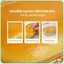 Squishy Chậm Phô Mai Bánh Mì Đồ Chơi Bóp Mềm Giảm Căng Thẳng Cảm Giác Thần Tài Đồ Chơi Cho Gia Đình Trò Chơi Thời Gian Đảng Ủng Hộ