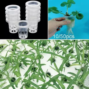 LAKAM 10 / 50 Chiếc Giỏ Trồng Cây Bán Chạy Khay Trồng Bể Cá