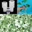 LAKAM 10 / 50 Chiếc Giỏ Trồng Cây Bán Chạy Khay Trồng Bể Cá