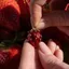 THEGIRL8B Mề đay Mặt Dây Chuyền Vòng Cổ, Có Thể Mở Mở Và Đóng Nắp Vòng Cổ Men, Động Vật Ẩn Ngọt Ngào Dây Xích Kim Loại Dâu Kính Trái Cây Choker Cô Gái