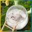 BVY Hamster Phòng Tắm Vệ Sinh 2 Trong 1 Gạc Trong Suốt Thiết Kế Bồn Tắm Phòng Lớn Để Vệ Sinh Thú Cưng Chải Lông Và Chơi.