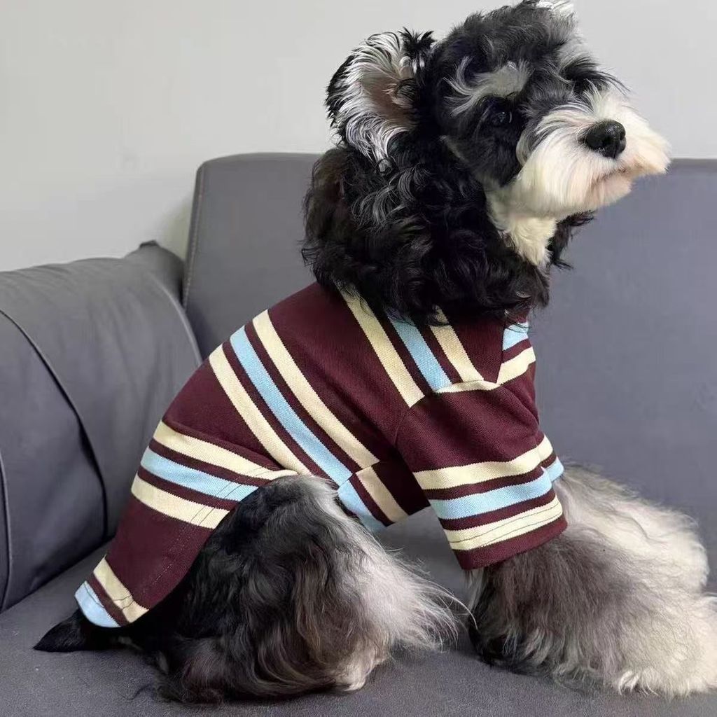 Teddy Schnauzer Pomeranian Pet Áo thun chó nhỏ Quần áo mèo mùa thu đông sọc tay ngắn