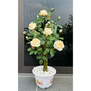 Cây hoa hồng cổ giả cao 90cm – Hoa giả vải trang trí sang trọng, đầy đặn như thật
