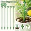Hỗ trợ thực vật Cổ phần đa năng Chức năng Trang trí nội thất Tổ chức Essential Essential Essential