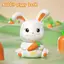 Bunny Piggy Bank Hình Hộp Tiết Kiệm Tiền Tượng Động Vật Thủ Công Hộp Tiết Kiệm Kệ Nhà Để Bàn Phòng Ngủ Quà Tặng Sinh Nhật VN