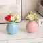 Morandi Phong Cách Bình Nhỏ Cho Trang Trí Văn Phòng Tại Nhà Bàn Tối Giản Hoa Tàu Hiện Đại Thẩm Mỹ Mini Chai Trang Trí Scandinavia Thiết Kế Nội Thất Giọng