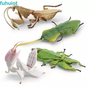 FUHUIOT Mantis Figurine, Đồ trang trí Côn trùng mô phỏng thực tế, Đồ chơi khoa học Động vật Giáo dục Nhận thức Cầu nguyện Mô hình bọ ngựa Đồ chơi trẻ em
