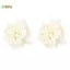 < Honeyba > 1 Cặp Mori Phong Cách Đá Cra Hoa Tai Hợp Thời Trang Niche Tính Khí Bông Tai Thời Trang Thanh Lịch Cho Nữ Cô Gái Ngọt Ngào Trang Sức Dễ Thương Đẹp