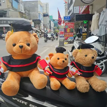 Gấu Bông Trương Định Gấu Bông Tốt Nghiệp - Thú Nhồi Bông Teddy Cử Nhân Cao Cấp Gấu Bông