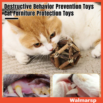 [WMP] Đồ chơi bóng bạc Catnip tự nhiên dành cho mèo con - Sức khỏe răng miệng Hỗ trợ tiêu hóa cảm xúc Đồ chơi nhai trong nhà Làm dịu tâm trạng Mèo Đồ nhai lành mạnh Hành vi nhai Đồ chơi cho mèo