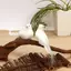 1 Chim Bồ Câu Nhân Tạo Chim Bồ Câu Giả Mô Phỏng Lông Bồ Câu Cây Giáng Sinh Đồ Trang Trí Tiệc Cưới Trang Trí Nhà Phòng Khách