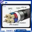 Cáp loa HiFi 6N OFC Core Chuối sang Chuối Cáp cắm vàng Sừng