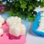 Khuôn Silicon Và Khuôn Xương (6 CÁI) Để Nướng Bánh, Sôcôla, Kẹo, Thạch, -Molds
