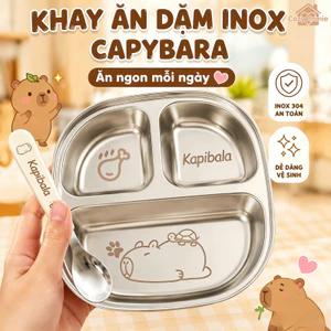 Khay cơm inox 3 ngăn thép không gỉ cho trẻ họa tiết chuột lang dễ vệ sinh nhỏ gọn an tâm tiện mang