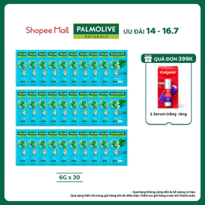 Combo 30 gói Dầu gội Palmolive kèm dầu xả 2in1 Suôn Mượt Óng Ả 6g