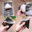 Luckyew 20 Chiếc Hai Lớp Tam Giác Cơm Bóng Paing Túi Rong Biển Onigiri Túi Sushi Làm Paaging Túi Dụng Cụ Phụ Kiện TQ