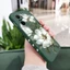 Ốp Điện Thoại Magn Carlia Thích Hợp Cho Redmi 15C 15 14C 13 13C 12 12C 10 10C 9 9A 9C 4G 5G A3 A2 Vỏ Bảo Vệ Thời Trang
