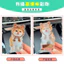 Hoạt Hình Dễ Thương Mèo Lắc Đầu Trang Trí Xe Ô Tô Tùy Chỉnh Hình Thú Cưng Của Riêng Bạn DIY Bảng Điều Khiển Trung Tâm Ô Tô Trang Trí Nội Thất Chó Giảm Căng Thẳng Bàn Acrylic Đứng Cho Văn Phòng