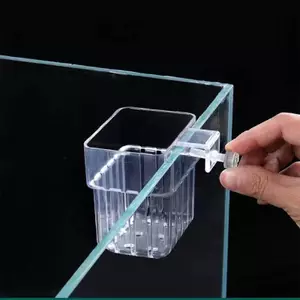 Littleloves1 Thủy Canh Trồng Cốc Nước Gia Đình Cỏ Trồng Cốc Treo Tường Bể Cá Trong Suốt Cao Trang Trí Cảnh Quan VN