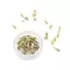 Littleloves1 10 / 50 Chiếc Bộ Dụng Cụ Loại Bỏ Liên Kết Đồng Hồ Dây Chuyền Dụng Cụ Liên Kết Pin Tẩy Để Điều Chỉnh Dây Đeo Đồng Hồ Và Sửa Chữa Đồng Hồ VN