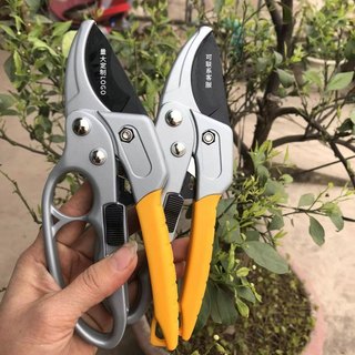 Kéo Cắt Cành Cộng Lực Thép SK5 Chống Gỉ, Chuyên Tỉa Cây Cảnh, Cây Ăn Trái, Tay Cầm Êm Chắc