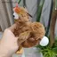 SRVN 12cm Dễ Thương Squeaky Chien Sang Trọng Móc Khóa Động Vật Dễ Thương Sang Trọng Đồ Chơi Mặt Dây Chuyền Chien Búp Bê Móc Khóa Cô Gái Túi Nữ Phụ Kiện Quà Tặng.