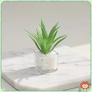 1 / 12 Nhà Búp Bê Mini Chậu Cây Mô Hình Thực Tế Mô Phỏng Trang Trí Cho Mini Làm Vườn Người Hâm Mộ Bộ Sưu Tập