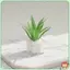 1 / 12 Nhà Búp Bê Mini Chậu Cây Mô Hình Thực Tế Mô Phỏng Trang Trí Cho Mini Làm Vườn Người Hâm Mộ Bộ Sưu Tập