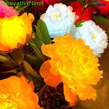 Đèn sân vườn năng lượng mặt trời DYRUIZA, Đèn đường năng lượng mặt trời mô phỏng hoa năng lượng mặt trời, Đèn LED sân vườn Tự động bật / tắt Đèn hoa mẫu đơn Đèn bãi cỏ năng lượng mặt trời Sử dụng ngoà