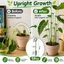 Hỗ trợ thực vật Cổ phần đa năng Chức năng Trang trí nội thất Tổ chức Essential Essential Essential