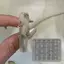 BeautifulHomeA 3D Nơ Khuôn Làm Móng Tay Silicon Kích Thước Hỗn Hợp Nơ Ruy Băng Tấm Dập Mềm Kawaii Bowtie DIY Làm Móng Tay Nghệ Thuật Khuôn Dụng Cụ Trang Trí Mẫu VN