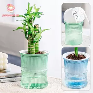 Chậu trồng cây tre PWSEND, Chậu hoa trang trí phòng tự tưới cây, Đồ dùng làm vườn bằng nhựa Bình trong suốt đơn giản Trồng đất Chậu nhỏ Phòng khách