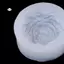 Maybest 3D Khuôn Nến Silicon Mẫu Đơn Lớn DIY Handmade Xà Phòng Hoa Thạch Cao Thủ Công Khuôn Trang Trí Bánh Sô Cô La Dụng Cụ Nướng Bánh {VN}