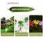 1 Con Chim Nhân Tạo Dễ Thương Xốp Giả Động Vật Mô Phỏng Lông Chim Đồ trang trí Tit DIY Thủ Công Trang Trí Sân Vườn Nhà