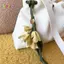 < Honeyba > Thời Trang Da PU Mô Phỏng Osmanthus Móc Khóa Túi Mặt Dây Chuyền Trang Trí Hoa Nhân Tạo Bapa Treo Đồ Trang Trí Quà Tặng Đẹp