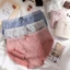 Combo 5-10 Quần Lót Nữ Cotton Kẻ Ca rô Mềm Mịn Đáy Lót Cotton Kháng Khuẩn Che Tên Sản Phẩm 42-58kg.