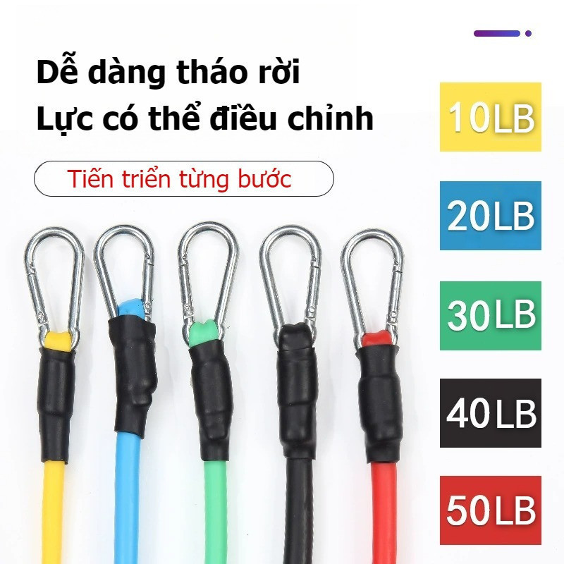 Bộ 5 Dây Tập Gym Ngũ Sắc Đàn Hồi Cao Cấp 11 Món – Dây Kháng Lực Toàn Thân, Dụng Cụ Tập Thể Hình Tại Nhà