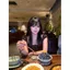 Mùa hè 2026 Áo thun ngắn tay có dây cổ vuông phong cách Pháp Pure Desire Hot Girl Don 't Pick Your Body Slim-Fit Niche