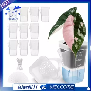 10Pack 2.5 "Chậu tưới nước nhỏ cho cây trồng trong nhà với 10 nhãn cây có mực nước và lỗ thoát nước