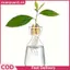 Bình đựng hạt bơ XUAN Bình thủy tinh trong suốt để trồng cây Bộ trồng hạt thủy tinh dành cho những người yêu thích làm vườn VN