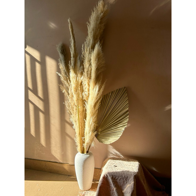 Bông lau , cành cỏ lau khô, hoa cỏ lau khô trang trí decor nhà, trang trí shop,spa,trang trí tiệc cưới sự kiện