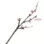 DARON Plum Bossom Trang Trí Đám Cưới Trang Trí Tiệc Trang Trí Nhà DIY Bàn Đồ Trang Trí Hoa Nhân Tạo