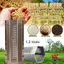 Sàng phay gạo lục giác 5 chân Loại 40 Bộ phận thép không gỉ cấp thực phẩm cho thiết bị phay gạo gia đình VN