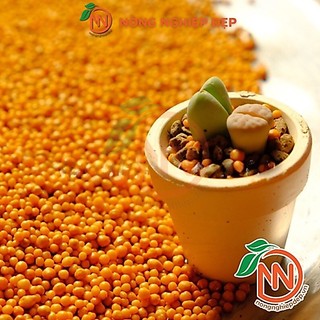Phân Tan Chậm Vàng Osmocote 14-14-14 Gói 1kg
